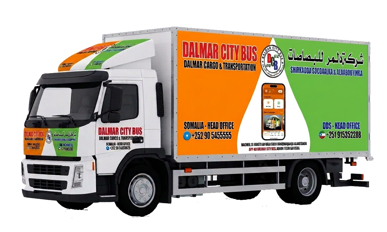 Dalmar City Bus